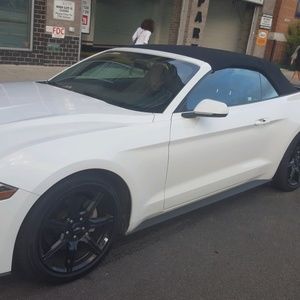 Meet your Posher, Irene